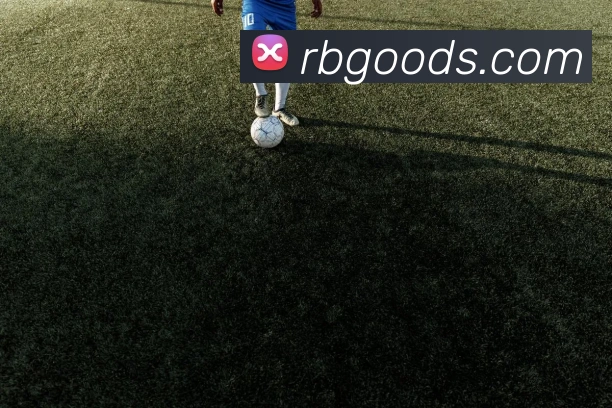 热博rb88平台生态图